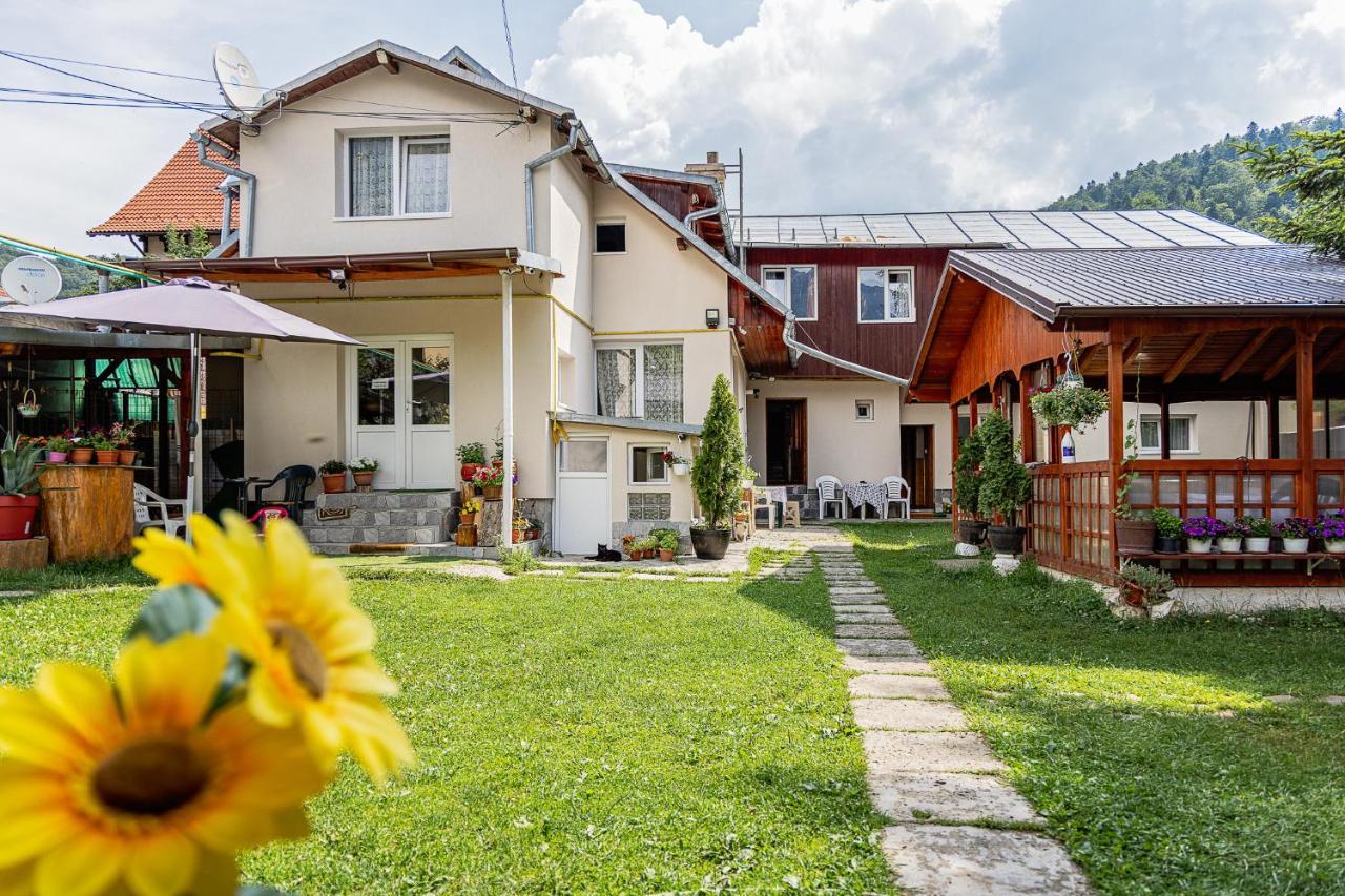 Pensiunea Montan Buşteni Exterior foto
