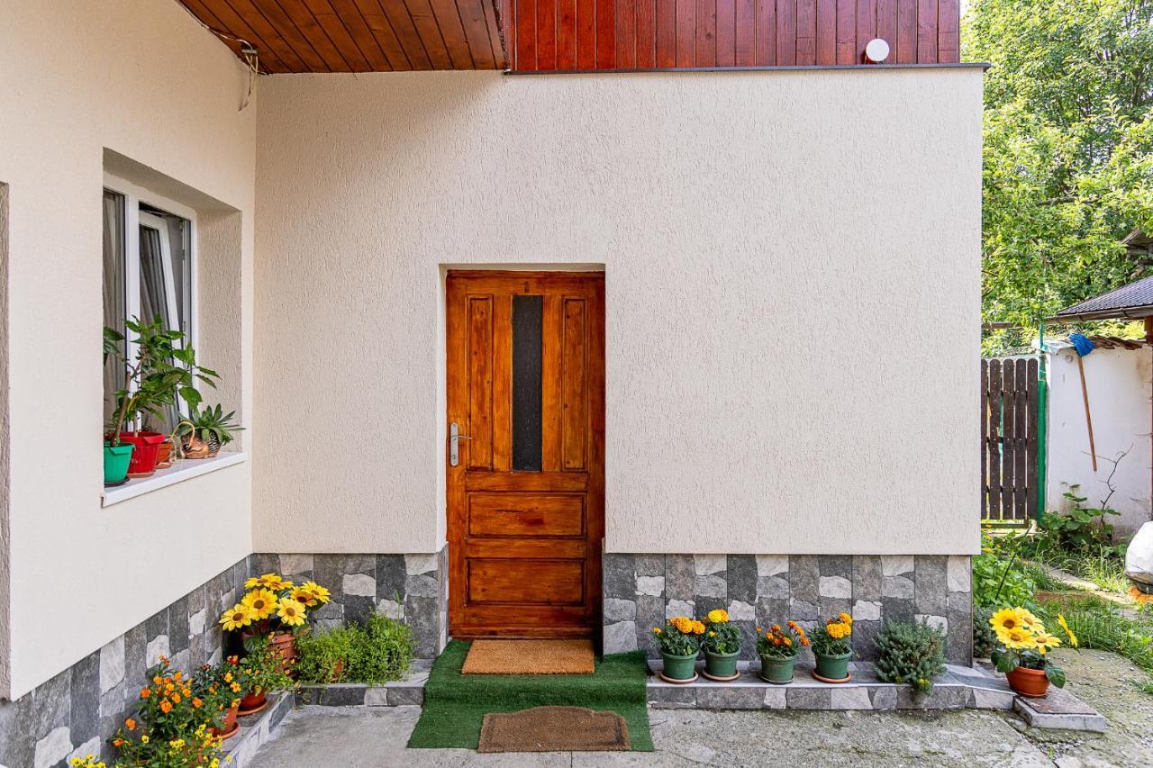 Pensiunea Montan Buşteni Exterior foto