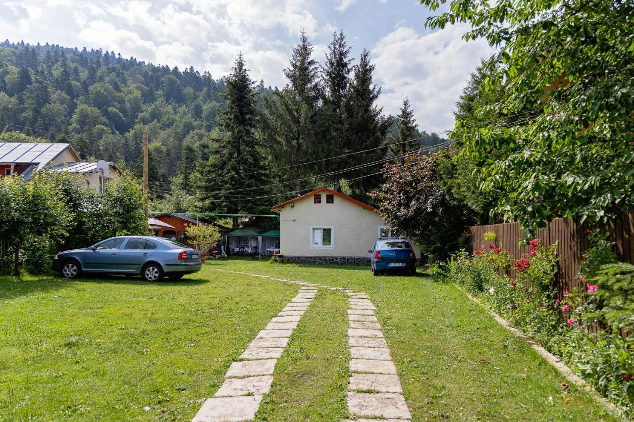 Pensiunea Montan Buşteni Exterior foto