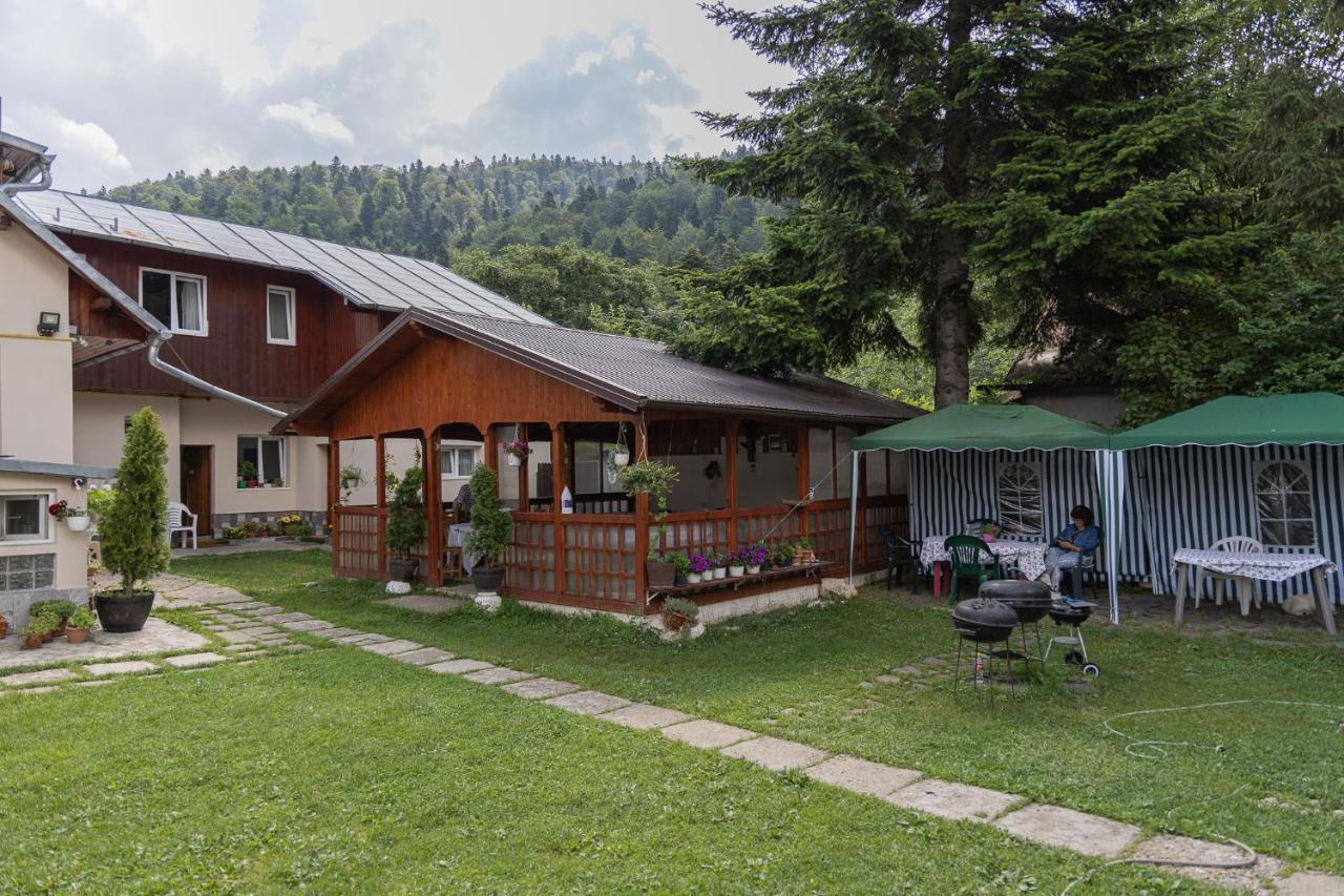 Pensiunea Montan Buşteni Exterior foto
