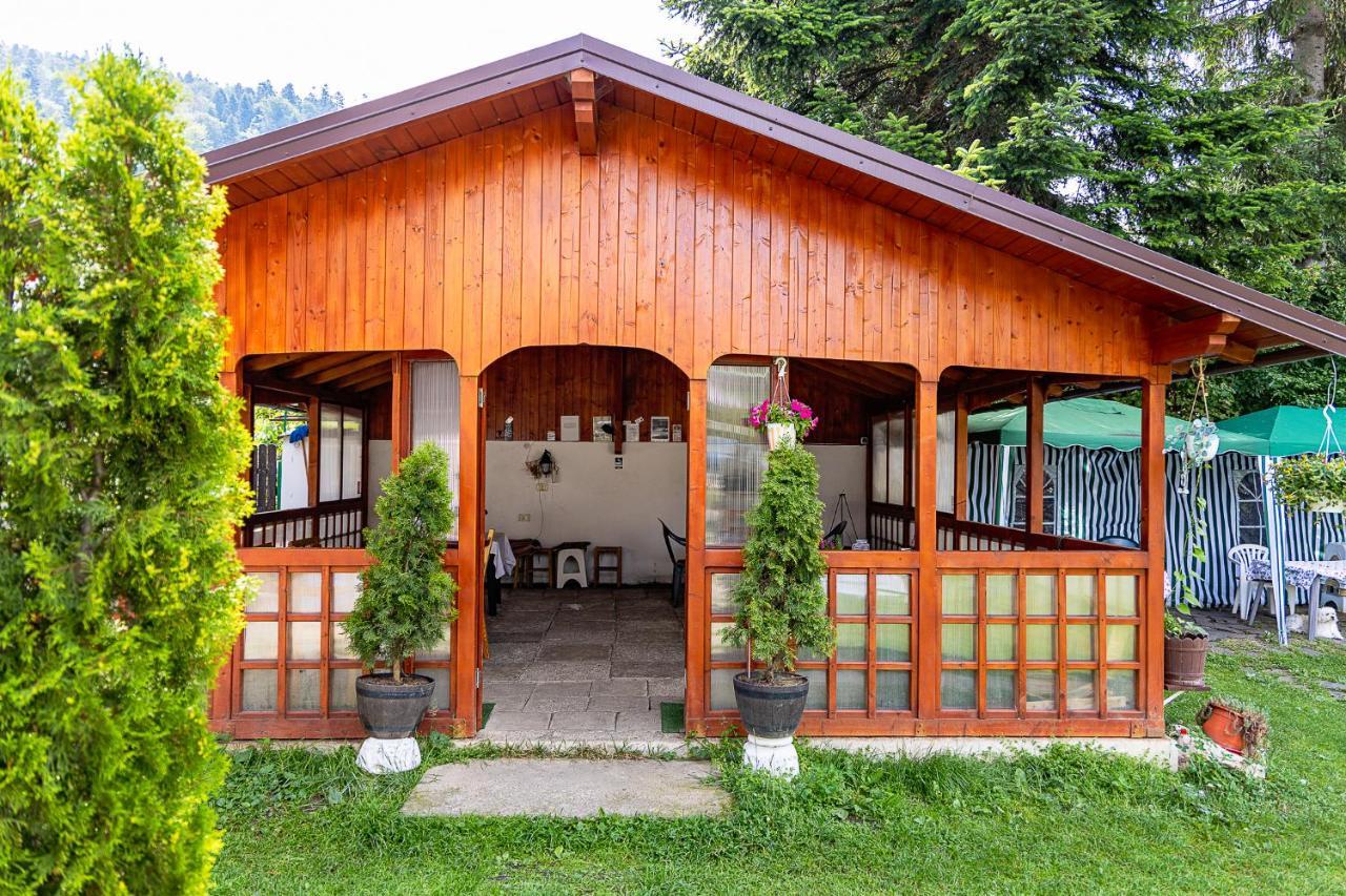 Pensiunea Montan Buşteni Exterior foto