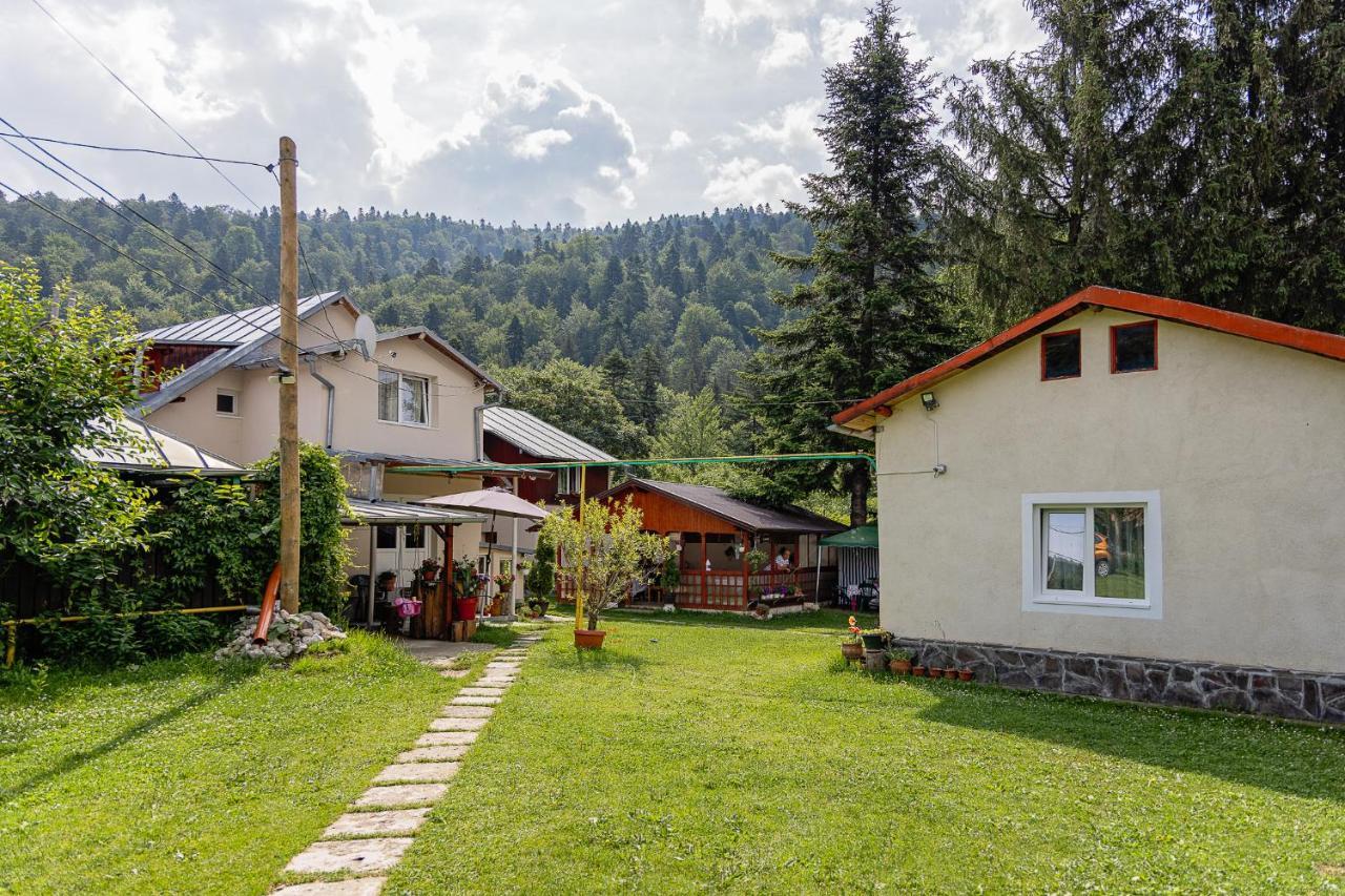 Pensiunea Montan Buşteni Exterior foto
