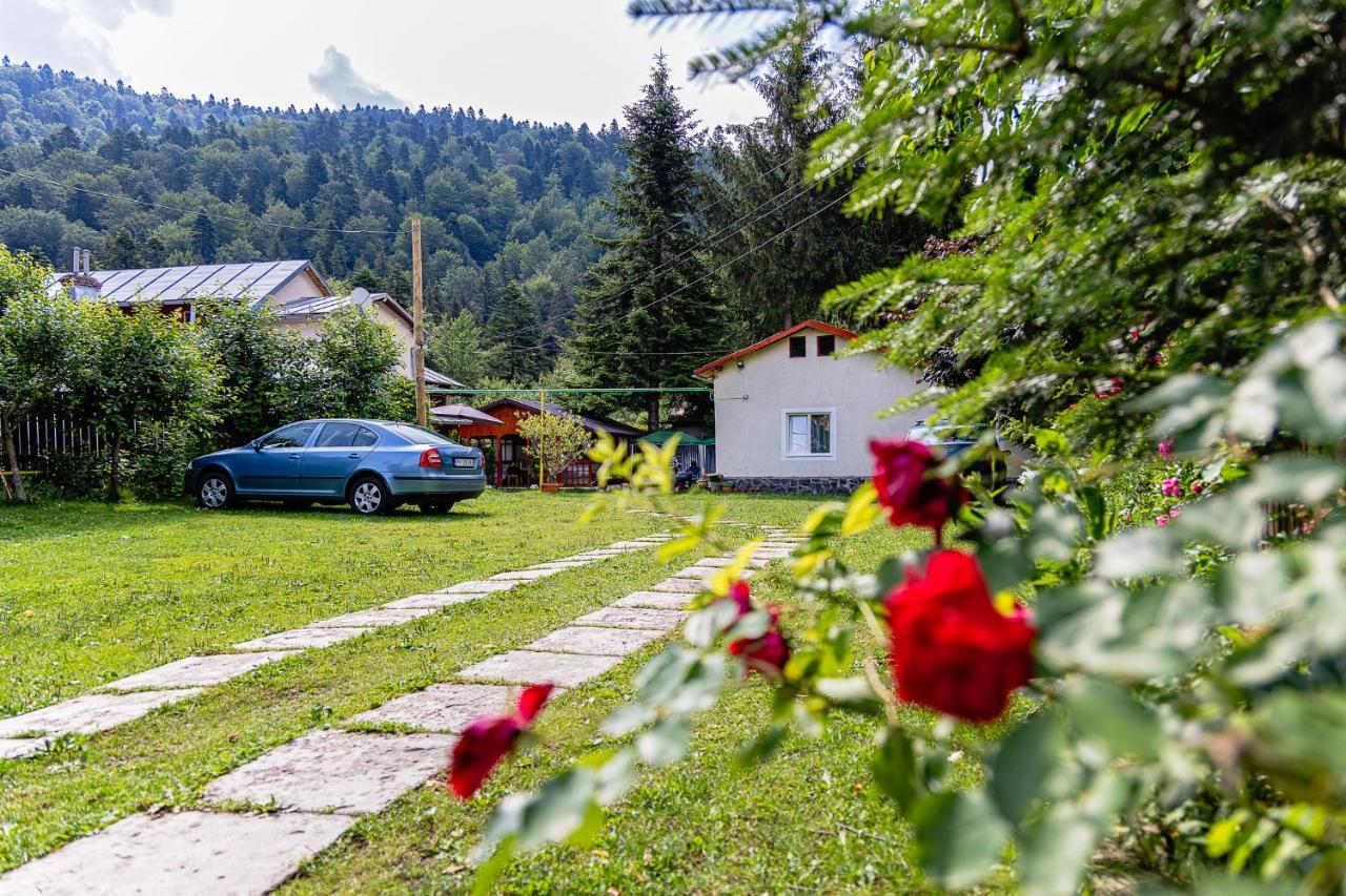 Pensiunea Montan Buşteni Exterior foto