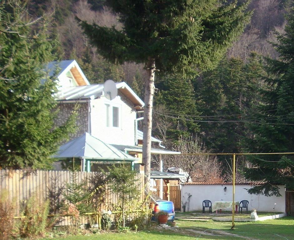 Pensiunea Montan Buşteni Exterior foto