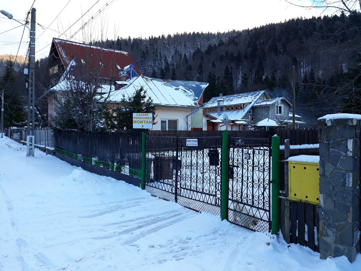 Pensiunea Montan Buşteni Exterior foto
